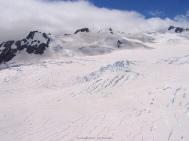 Fox and Franz Josef glaciers 2